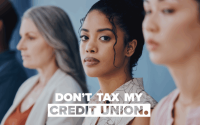 Why Credit Unions Like Yours Are Worth Protecting